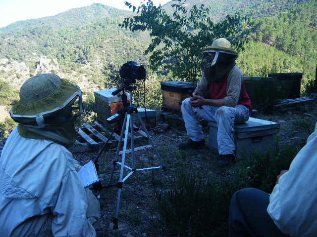 Interview et reportage d'un apiculteur Bio et nature et progrès en Cévennes avec la compagnie Tree feet, août 2011